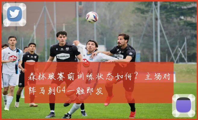 森林狼赛前训练状态如何？主场对阵马刺G4一触即发