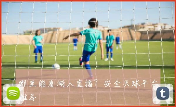 哪里能看湖人直播？安全买球平台推荐