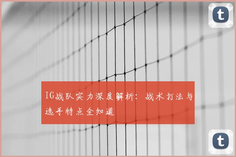 IG战队实力深度解析：战术打法与选手特点全知道