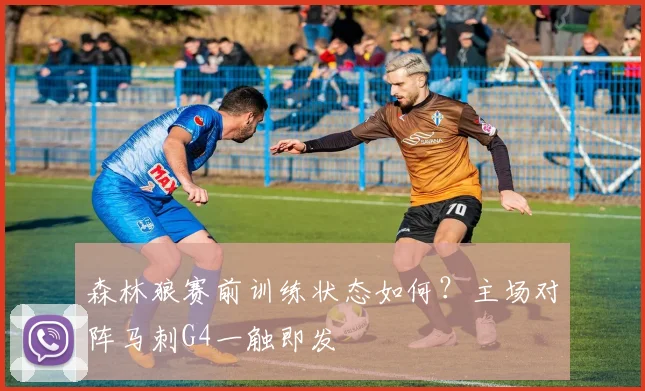 森林狼赛前训练状态如何？主场对阵马刺G4一触即发