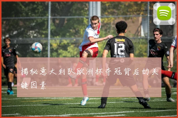 揭秘意大利队欧洲杯夺冠背后的关键因素