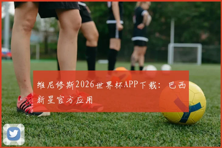 维尼修斯2026世界杯APP下载：巴西新星官方应用